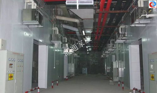 開開眼界 食用菌工廠化培育環(huán)境系統(tǒng)工程現(xiàn)場實(shí)拍